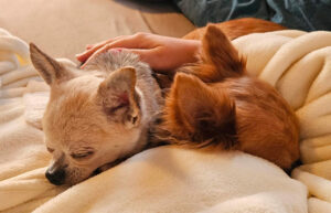 Medizintopf Suspirito