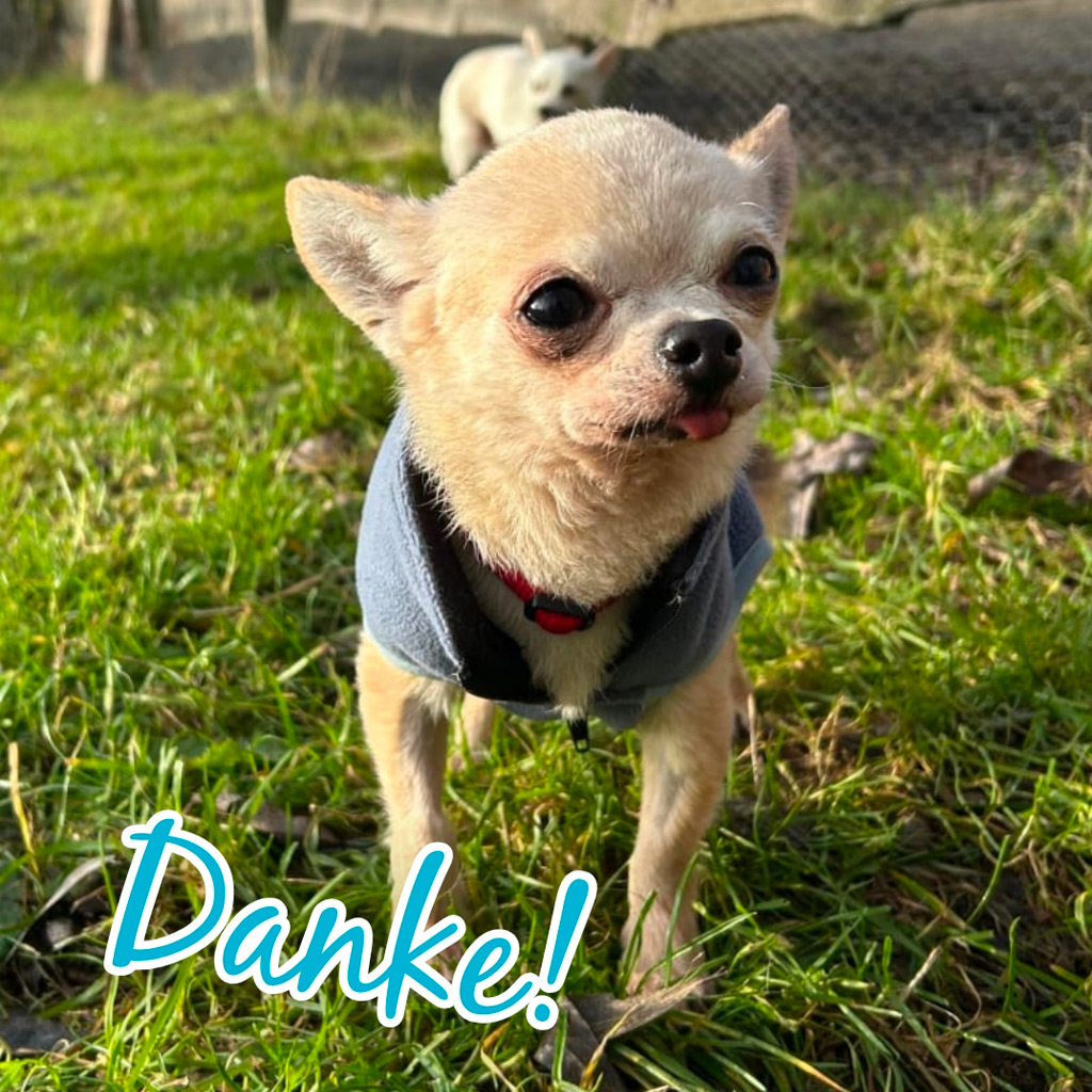 Medizintopf Suspirito