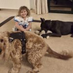 Mischling Orlando, 05/2023, ca. 65 cm