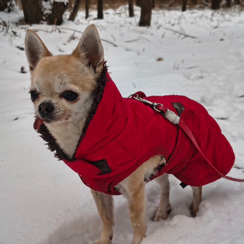 Regenbogenbruecke Erna / Celine