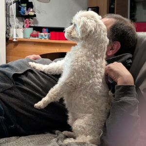 Regenbogenbrücke Kalle 2026