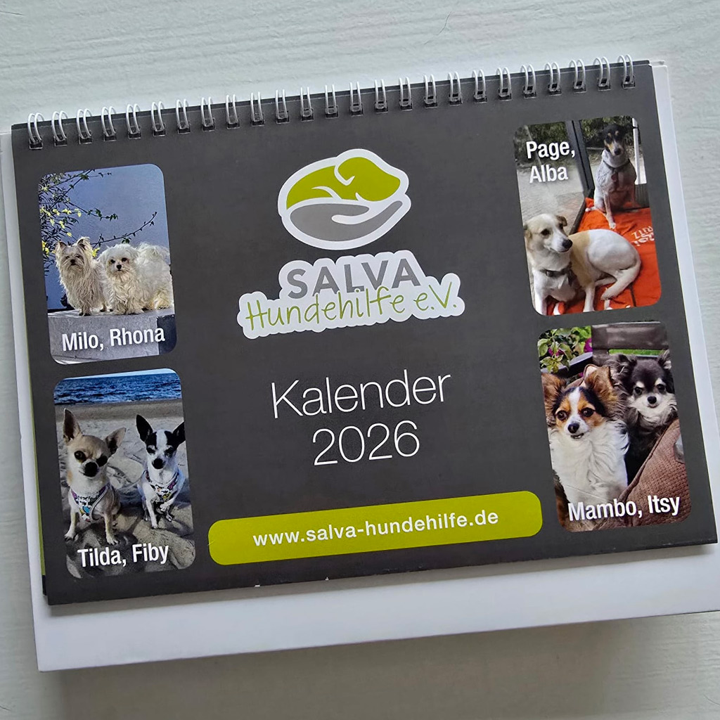 SALVA Kalender 2026