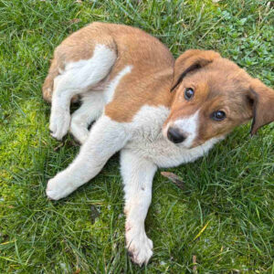 Spendenaktion Medizintopf Luca