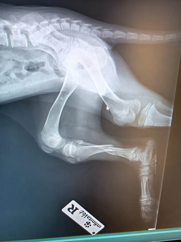 Spendenaktion Medizintopf Luca