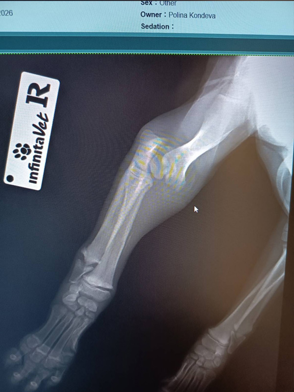 Spendenaktion Medizintopf Luca