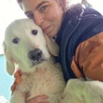 Golden Retriever William, 07/2025, Endgröße ca. 60 cm