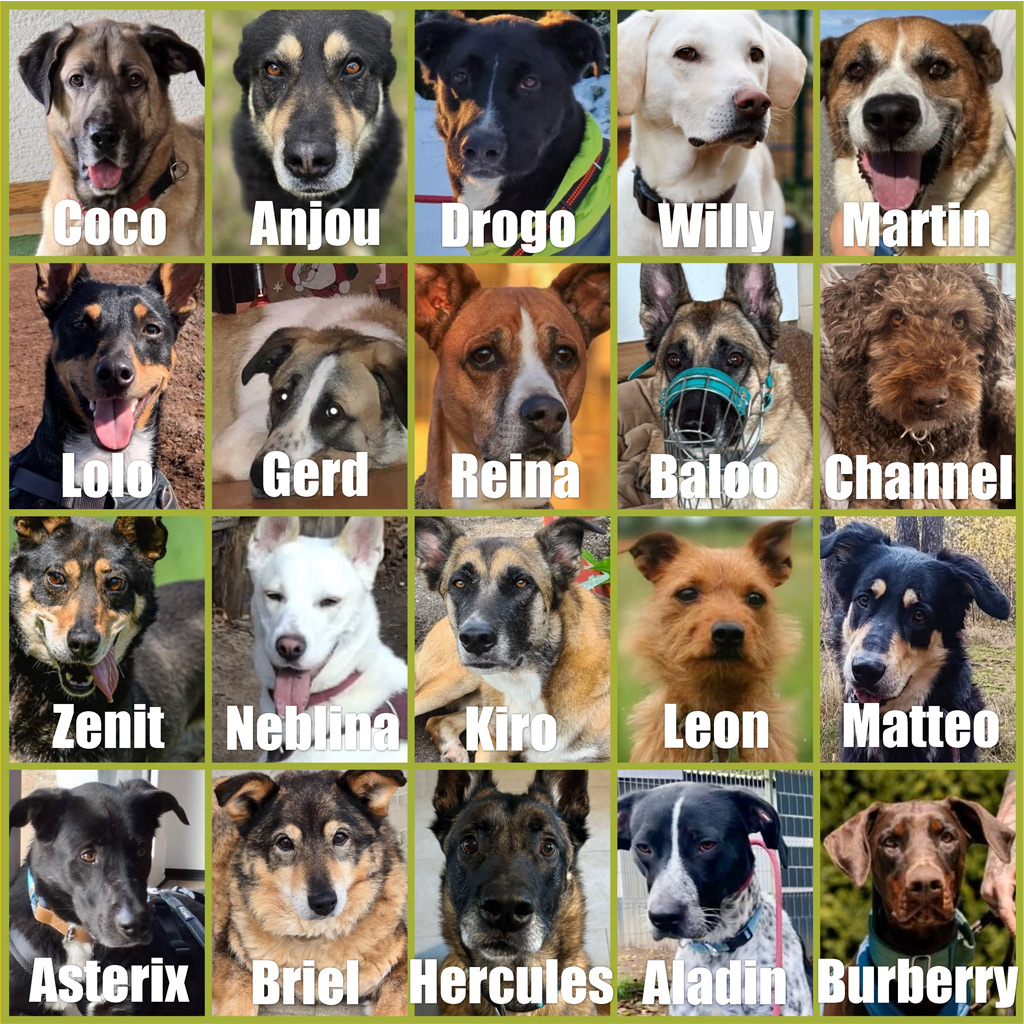 Unterstützung Pensionspatenschaften