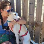 Podenco Bimba, 12/2020, ca. 45 cm