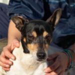 Bodeguero Johnny, 01/2018, ca. 39 cm