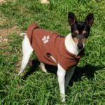 Bodeguero Johnny, 01/2018, ca. 39 cm