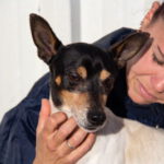 Bodeguero Johnny, 01/2018, ca. 39 cm