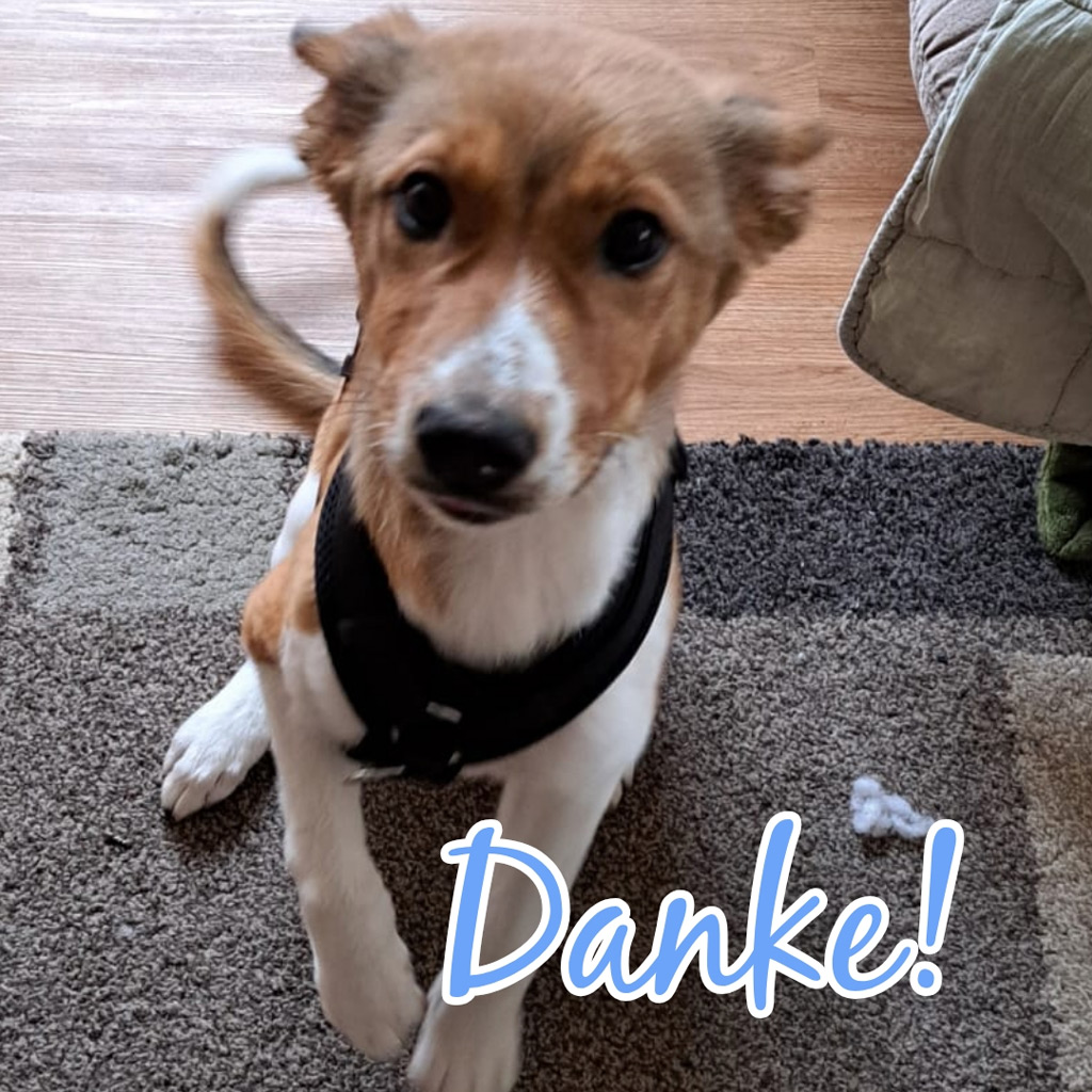 Spendenaktion Medizintopf Luca