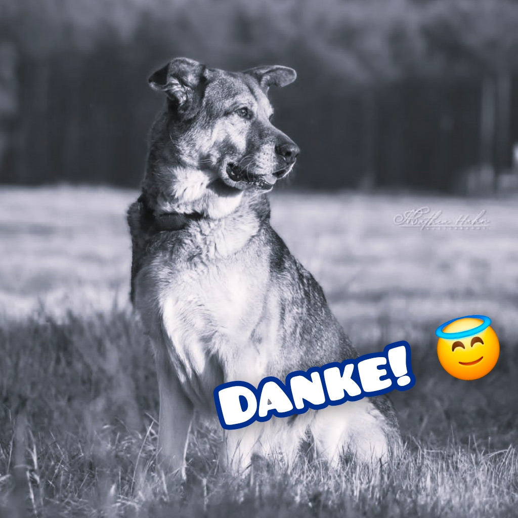 Pensionspatenschaft Victor - Regenbogenbruecke