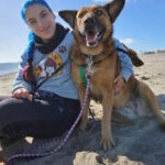 Malinois Mischling Porsche, 10/2015, ca. 58 cm