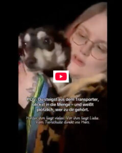 Vom Tierschutz direkt ins Herz.