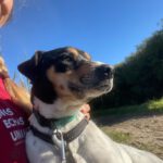 Bodeguero Sisa, 04/2023, ca. 42 cm