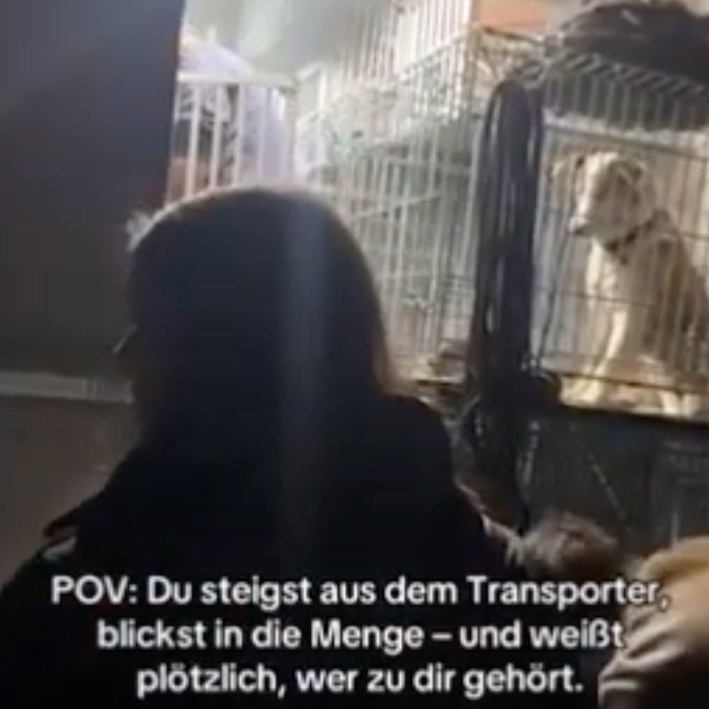 Vom Tierschutz direkt ins Herz.