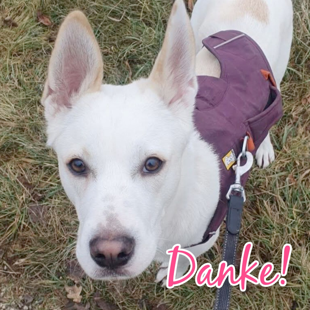 Pensionspatenschaft Neblina