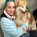 Pomsky Kate, 12/2023, ca. 40 cm