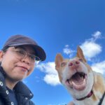 Podenco Maruchi, 06/2017, ca. 45 cm