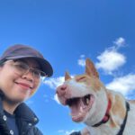 Podenco Maruchi, 06/2017, ca. 45 cm