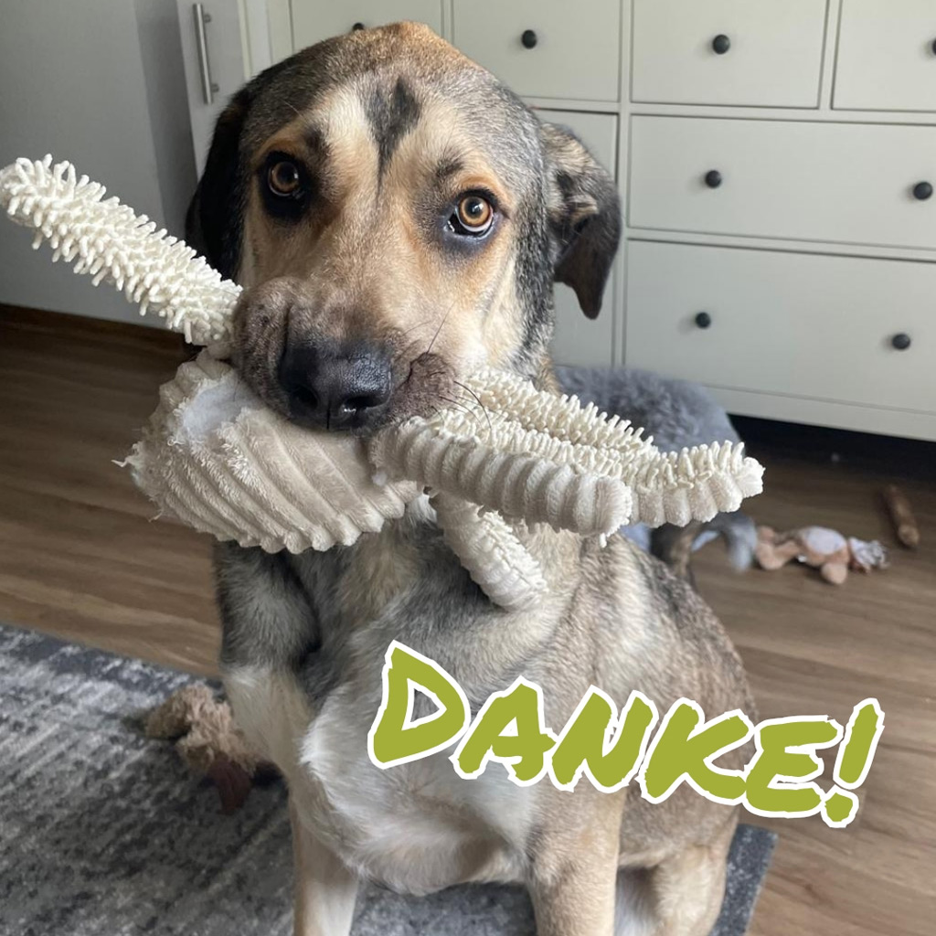 Spendenaufruf Medizintopf Homer