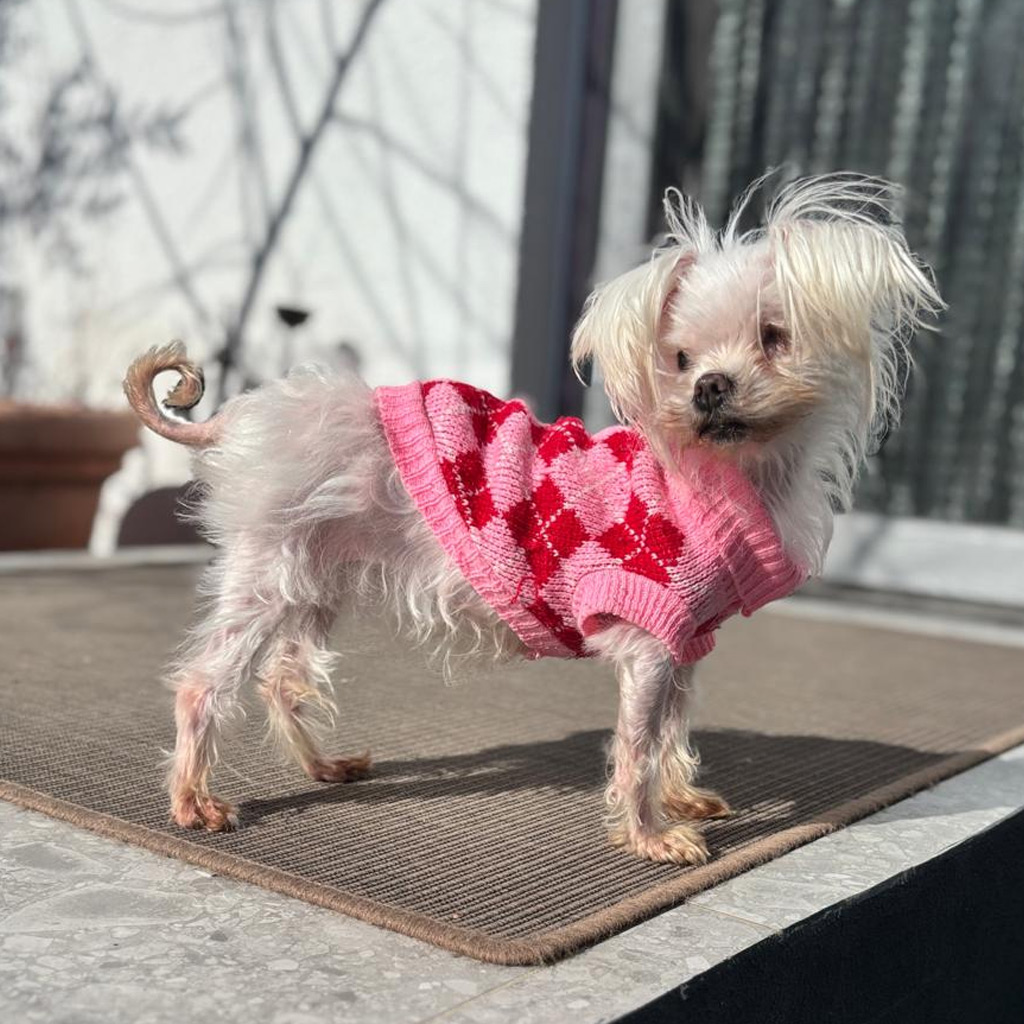 Medizintopf Lucerita