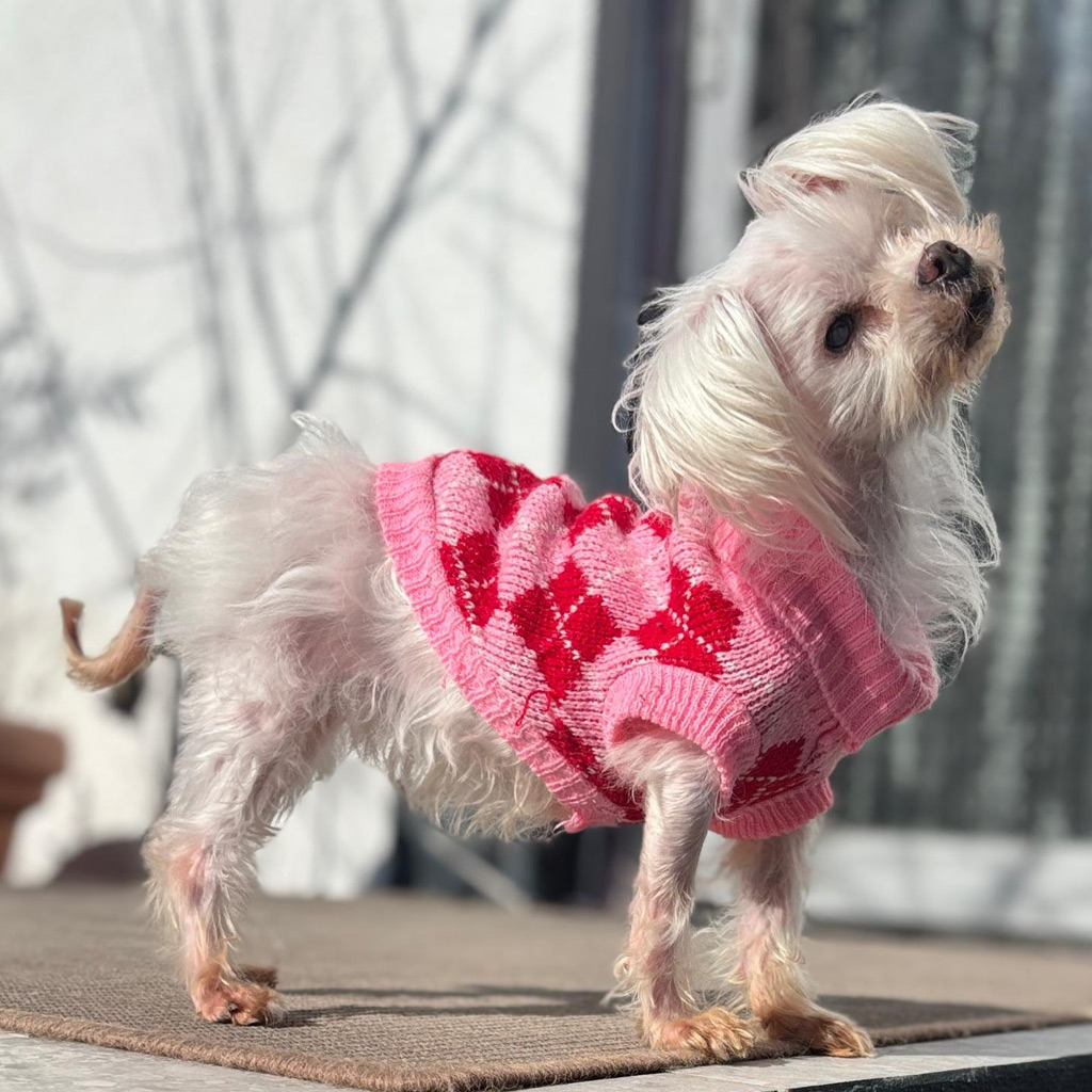 Medizintopf Lucerita