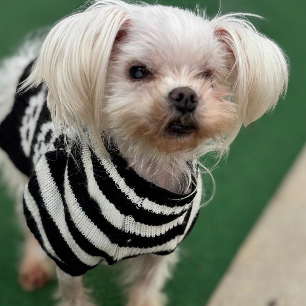 Medizintopf Lucerita