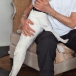 Bodeguero Nati, 07/2023, ca. 43 cm, 21031 Hamburg