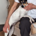 Bodeguero Nati, 07/2023, ca. 43 cm, 21031 Hamburg