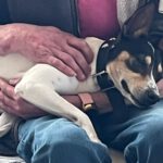 Bodeguero Nati, 07/2023, ca. 43 cm, 21031 Hamburg