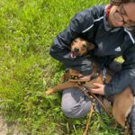 Mischling Nestlé, 04/2025, ca. 40 cm