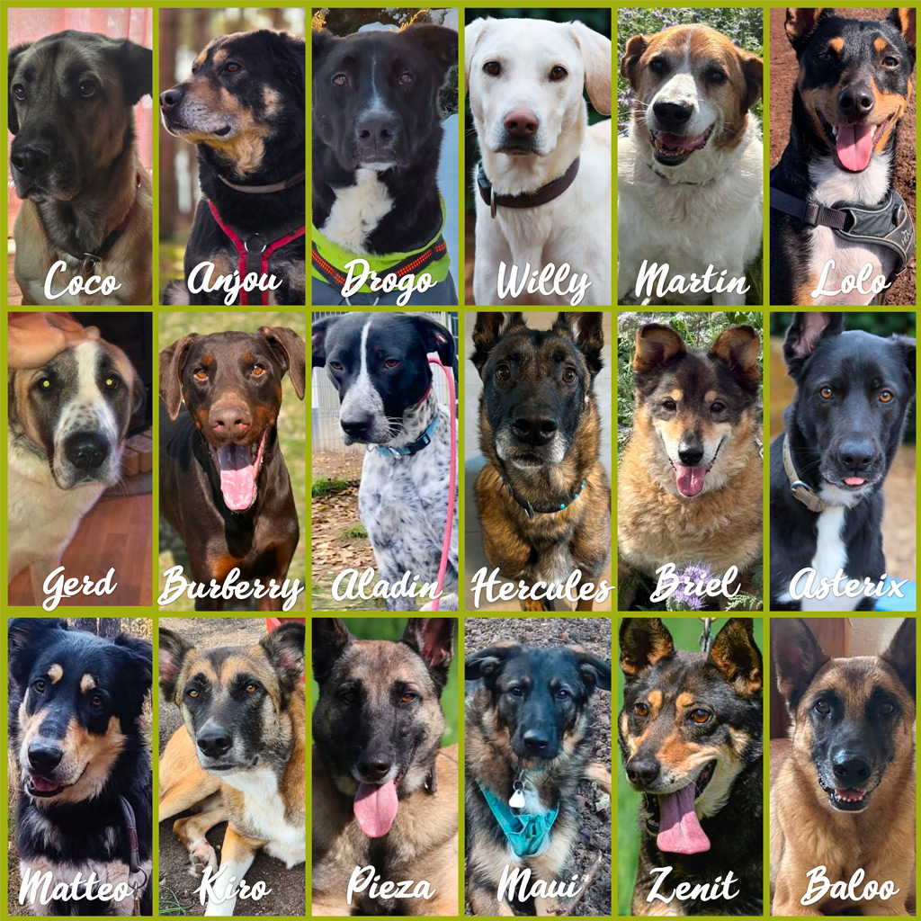 Unterstützung Pensionspatenschaften