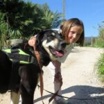 Mischling Avellana, 02/2024, ca. 70 cm