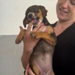 Mischling Joy, 01/2026, Endgröße ca. 45 cm