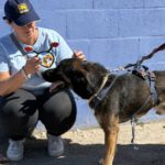 Mischling Logan, 09/2022, ca. 50 cm