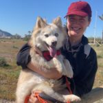 Pomsky Melania, 06/2021, ca. 40 cm