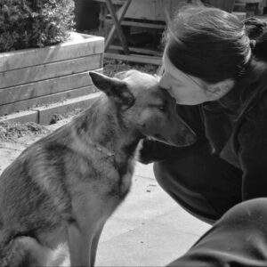 Regenbogenbruecke Lilo - SALVA Hundehilfe