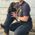 Mischling Rex, 07/2024, ca. 50 cm