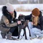 Mischling Robin, 03/2019, ca. 47 cm