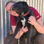 Mischling Tara, 04/2020, ca. 52 cm