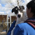 Bodeguero Viento, 09/2022, ca. 42 cm