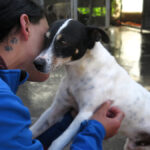 Bodeguero Viento, 09/2022, ca. 42 cm