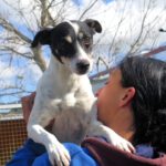 Bodeguero Viento, 09/2022, ca. 42 cm