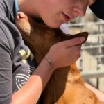 Podenco Maneto Whisky, 07/2018, ca. 35 cm