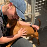 Podenco Maneto Whisky, 07/2018, ca. 35 cm