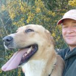 Mastin Mischling Zola, 12/2023, ca. 65 cm