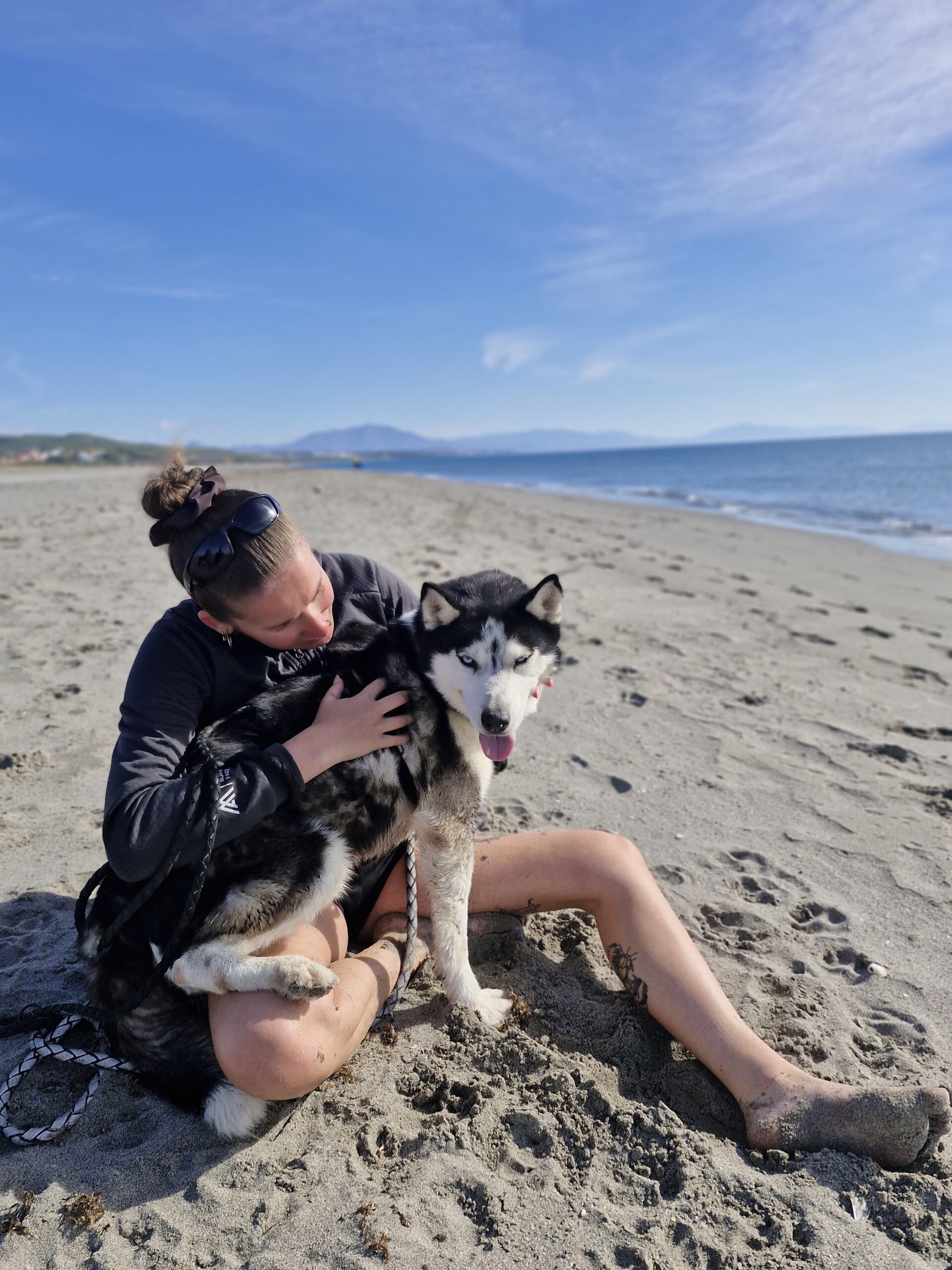 Husky Luna, 11/2019, ca. 55 cm