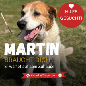 Pensionspatenschaft Martin